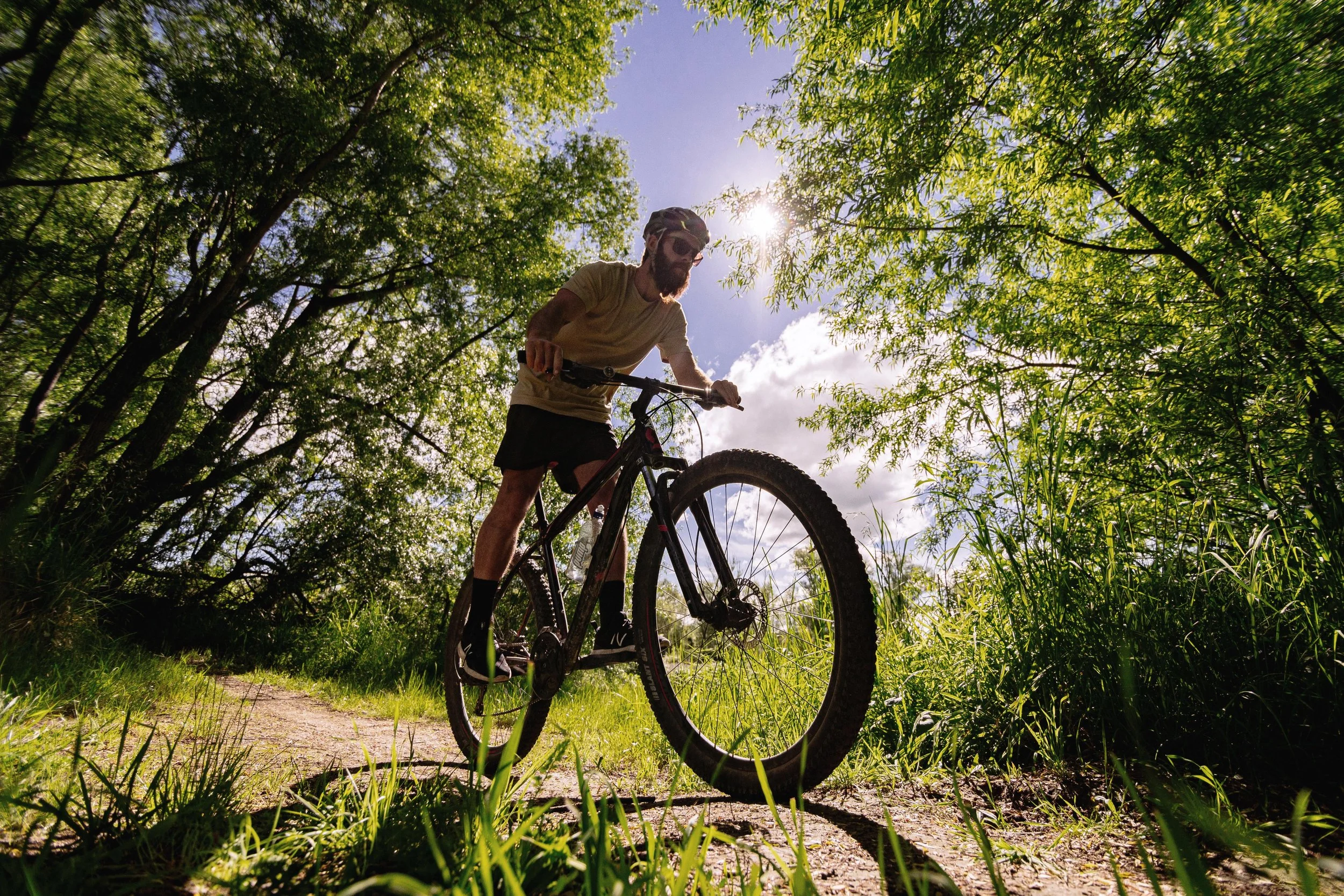 Tree farm mountain bike trail hotsell